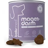 balumed® Snacks Magen+Darm hochkonzentriert mit Fenchelsamen & Flohsamenschalen für Hund, Leckerli mit Präbiotika, Postbiotika, Kamillenblüten, Bierhefe, Omega-3, Vitamine E + B1, 325 g