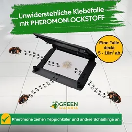 green guardia Teppichkäfer Falle mit Pheromon-Lockstoff: 1