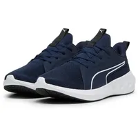 Puma Softride Carson Laufschuhe 43