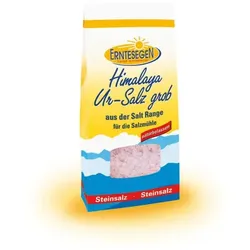 Erntesegen Himalaya Ur-Salz grob für die Salzmühle 300g