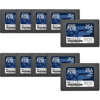 Patriot P210 SATA 3 256GB SSD, interner Solid-State-Laufwerk, 2,5 Zoll, 10er Packung, Menge von 10 - P210S256G2510