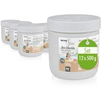BAYZID® 12x 500 g SPA Mini - Chlortabs 2,schnell