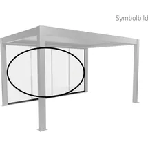Biohort Klarglas Gr. 4 m rechts 364,5 x 234,9 cm dunkelgrau, metallic