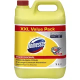 Domestos Professional Citrus Fresh Hygienereiniger 5L Kanister