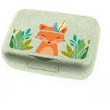 Koziol Candy L Lunchbox