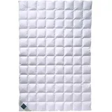 Billerbeck Daunendecke Basilia 513 superlight exta leicht, Füllung: 80% Daunen, 20% Federn 135x200 cm