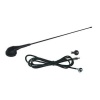 AM / FM Universal Antenne für Citroen / Peugeot