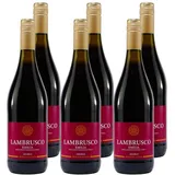 Ferspa Lambrusco Emilia IGT -lieblich- (6 x 0,75L)
