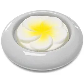 Taoasis Duftstein Frangipani 1 Stück