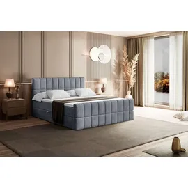 altdecor Miami-Z 200 x 200 cm H4 Grau