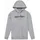 Troy Lee Designs Hoodie Grau 58