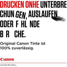 Canon PG-510 schwarz + CL-511 CMY