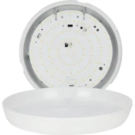 LED-Line LED line PRIME 1 weiß IP65