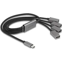 DeLock 64210 Schnittstellen-Hub USB 2.0 Type-C 480 Mbit/s Schwarz -