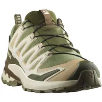 Salomon XA Pro 3D V9 GTX Herren Deep Lichen Green/Safari/Dark Earth 48