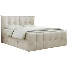 MKS King Boxspringbett 120 x 200 cm H3 Beige