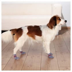 TRIXIE Hundekostüm Hundesocken, Anti-Rutsch Größe: XXS-XS / für z. B.: Spitz