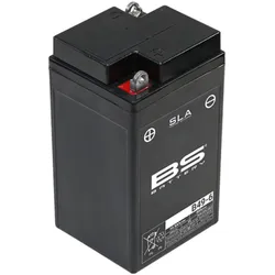 BS Battery Werkseitig aktivierte wartungsfreie SLA-Batterie - B49-6