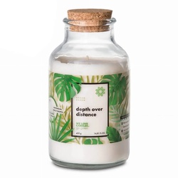 WE LOVE CANDLES Duftkerze Go Green - Depth over distance 420g Kerzen 