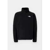 The North Face Shispare 1-4 Zip Fleece TNF Black-NPF XL