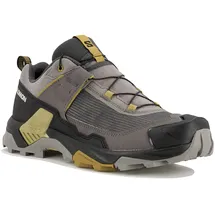 Salomon X Ultra 5 Herren Grau/Silber 45.1/3