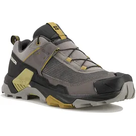 Salomon X Ultra 5 Herren Grau/Silber 45.1/3