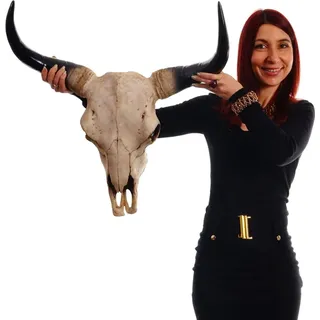 MCW Deko Schädel 64cm, Polyresin Stier Bulle Longhorn Kopf Trophäe, In-/Outdoor ~ natur