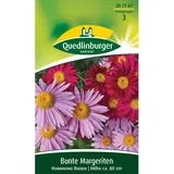 Quedlinburger Bunte Margerite ''Robinsons Riesen''