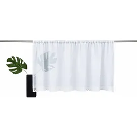 OTTO home Scheibengardine OTTO HOME "Idaho" Gr. 5, weiß, B:120cm H:60cm, Voile, Polyester, Gardinen, Fertiggardine, Mit Spitze, transparent