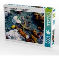 Calvendo Puzzle Galathea-Seestern, Drop Off, Tulamben,Bali, Indonesien 1000 Teile