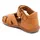 Bisgaard oline cognac 24