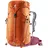 chestnut-maron