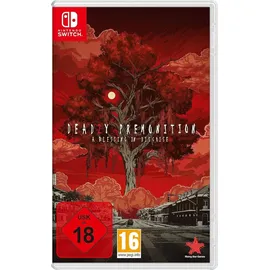 Deadly Premonition 2 - A Blessing in Disguise - (PEGI) (Nintendo Switch)