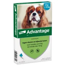 Advantage Nr. 100 Flohmittel (4 bis 10 kg) Hund 1 Packung