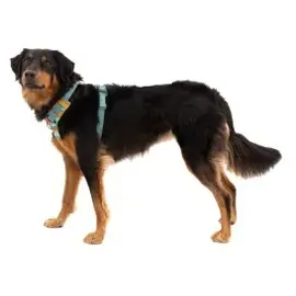 Ruffwear Front Range Hundegeschirr spring mountains S