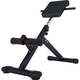 Gorilla Sports GORILLA SPORTS® Rückentrainer Bauch- und Rückentrainer klappbar Schwarz