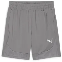 Puma Teamfinal Training Shorts cast iron-puma silver (13) L