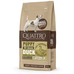 QUATTRO Ente Kleine Rassen Welpen & Mutter
