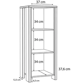 Forte Clif Aktenregal 115 x 46 x 41,6 cm braun
