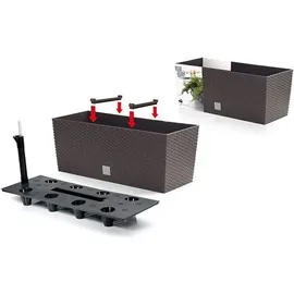 Prosperplast Blumenkasten Rato 60 x 24,5 x 24 cm anthrazit