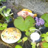 Storm's Gartenzaubereien Miniteich Set Schwimmlinse und Schwimmfisch in gelb mit Blütenringen und Teelichtschale