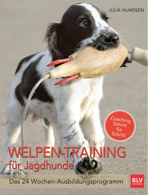 Welpen-Training Für Jagdhunde - Julia Numßen  Gebunden