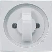 Rademacher DELTA DORE Abdeckplatte 2656-AL