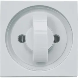 Rademacher DELTA DORE Abdeckplatte 2656-AL