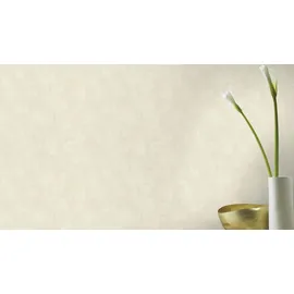 Rasch Textil Vliestapete Tapetenwechsel II 10,05 m x 0,53 m 609028 beige