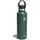 Hydro Flask Standard-Flex-Cap-Wasserflasche, Tannengrün, 600 ml