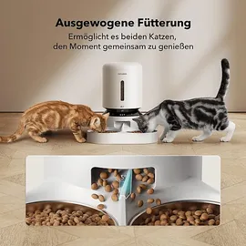 PETLIBRO PL-AF203-96W GRANARY CAMERA DUAL FOOD TRAY WEISS Automatischer Futterspender