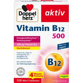 Queisser Pharma Doppelherz Vitamin B12 500 120 st