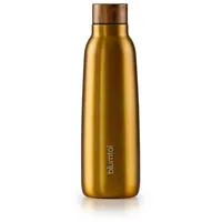 Blumtal Isolierflasche 500ml Trinkflasche Edelstahl Ray - auslaufsichere, BPA-frei,