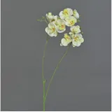 Kunstorchidee Kunst Zweig Phalaenopsis Orchidee VILLANI, weiß-grün, 65cm Orchidee (Orchidee phalaenopsis), artplants weiß